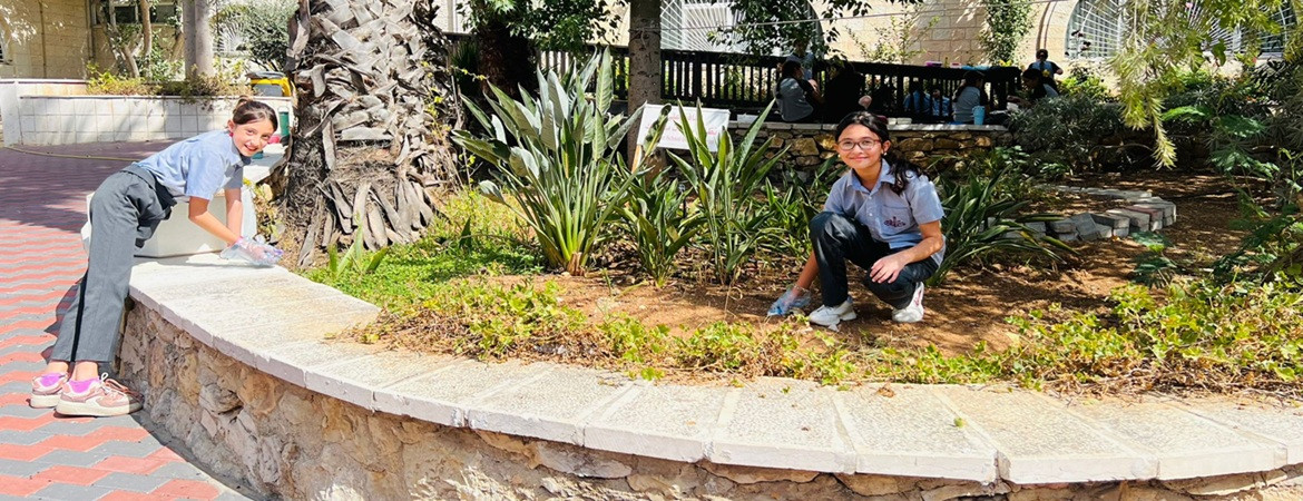 Environmental Stewardship