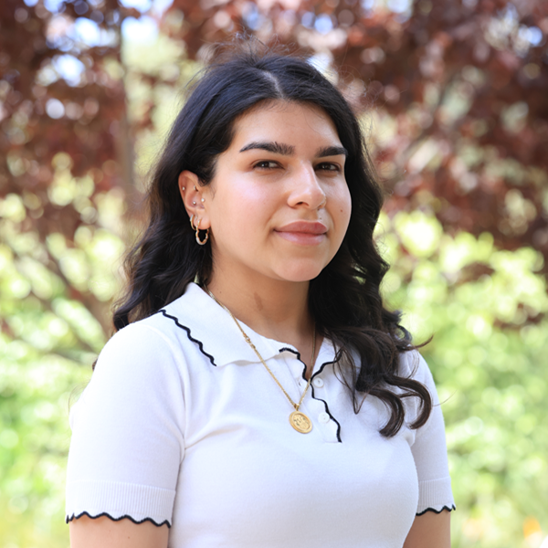 Aya Shilleh